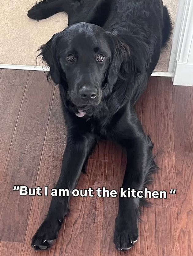 "But I am out the kitchen