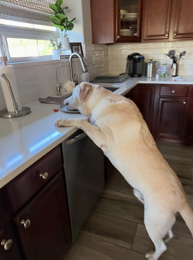 "C