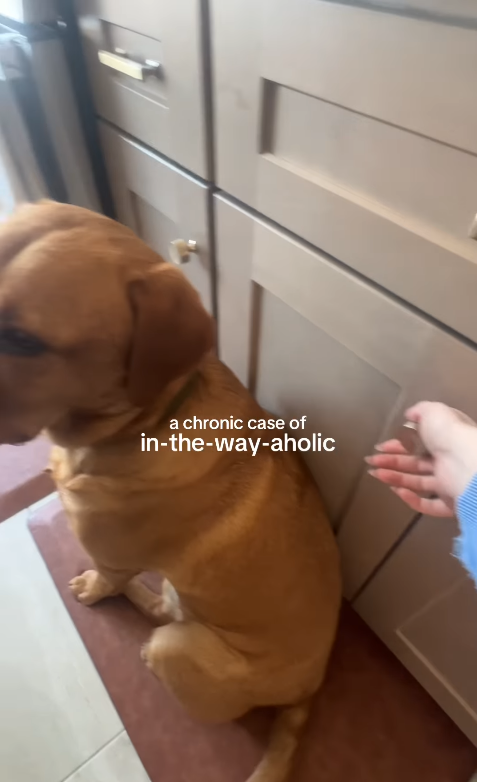 a chronic case of in-the-way-aholic