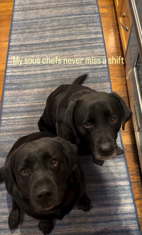 My sous chefs never miss a shift