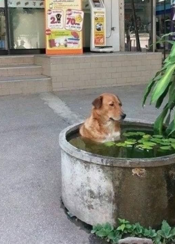 28 70