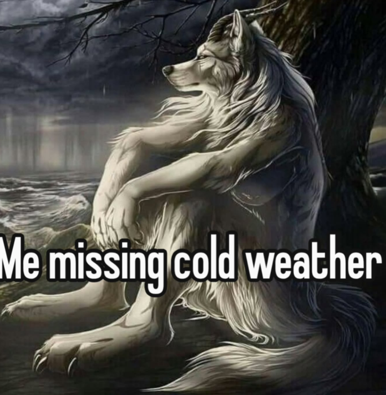 Me missing cold weather