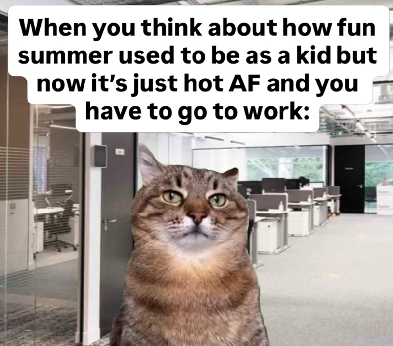22 When you think about how fun summer used to be as a kid but now it's just hot AF and you have to go to work: