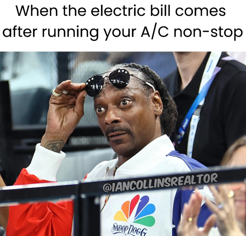 When the electric bill comes after running your A/C non-stop @IANCOLLINSREALTOR SNOOP DOGG