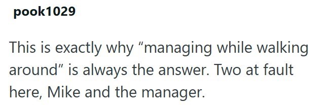 pook 1029 This is exactly why "managing while walking around" is always the answer. Two at fault here, Mike and the manager.