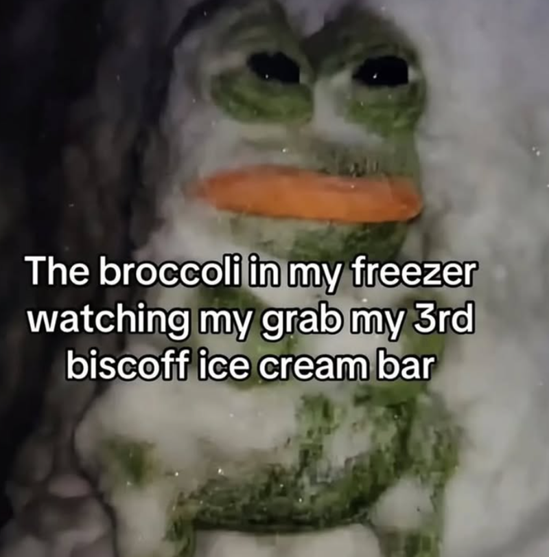 The broccoli in my freezer watching my grab my 3rd biscoff ice cream bar