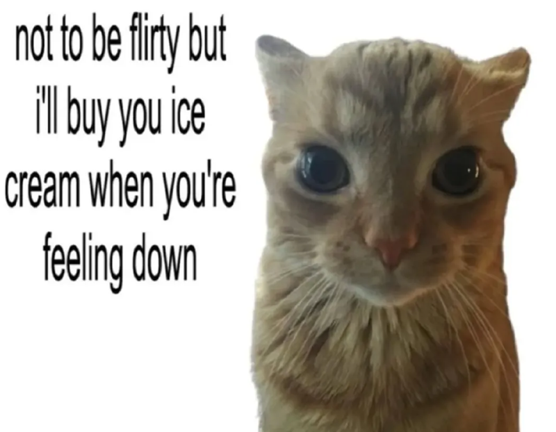 ice not to be flirty but I'll buy you cream when you're feeling down