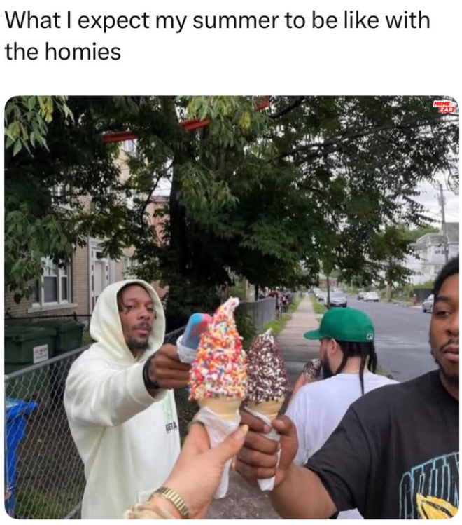 What I expect my summer to be like with the homies MEME