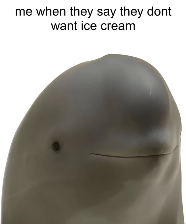me when they say they dont want ice cream