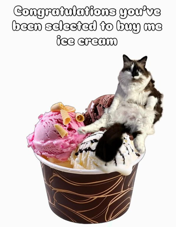 Congratulations you've been selected to buy me ice cream