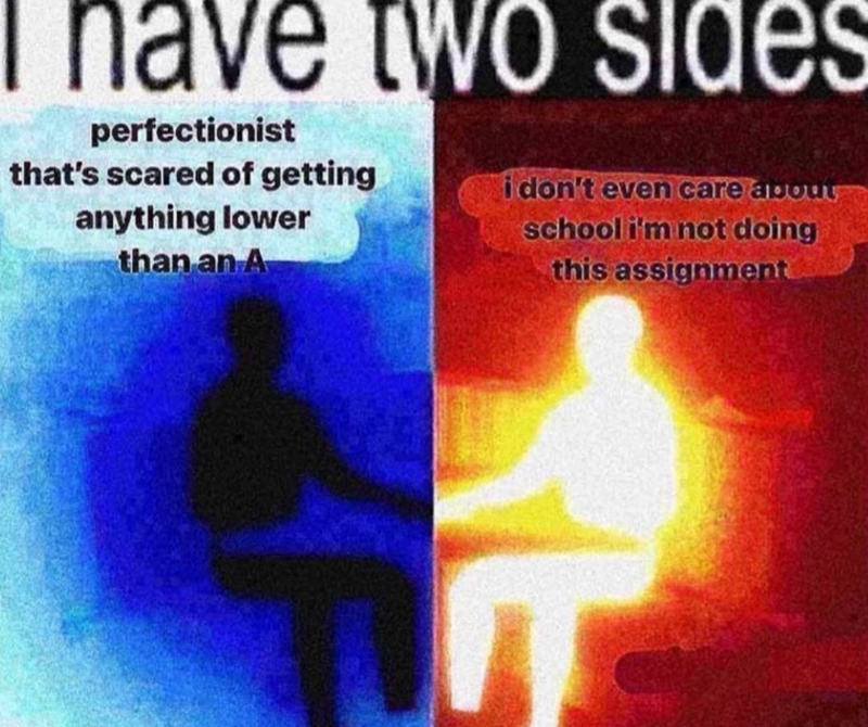 have two sides perfectionist that's scared of getting i don't even care about anything lower than an A school i'm not doing this assignment