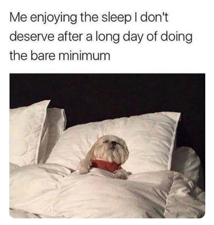 Me enjoying the sleep I don't deserve after a long day of doing the bare minimum