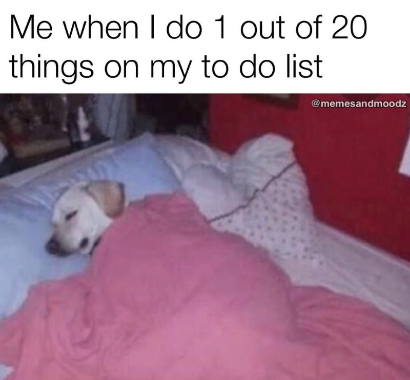 Me when I do 1 out of 20 things on my to do list @memesandmoodz