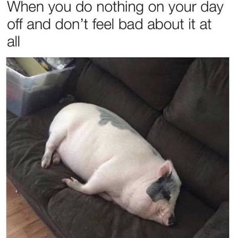 When you do nothing on your day off and don't feel bad about it at all