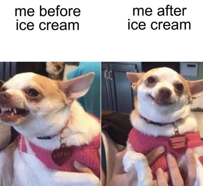 me before ice cream me after ice cream LILY LU