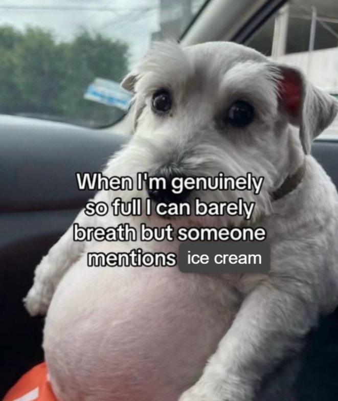 When I'm genuinely So full I can barely breath but someone mentions ice cream