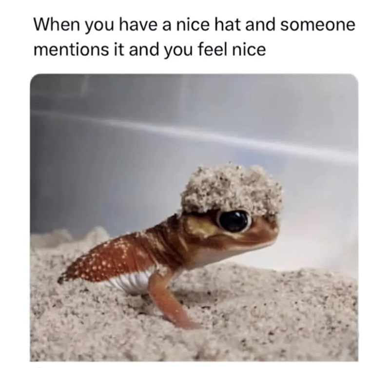 When you have a nice hat and someone mentions it and you feel nice