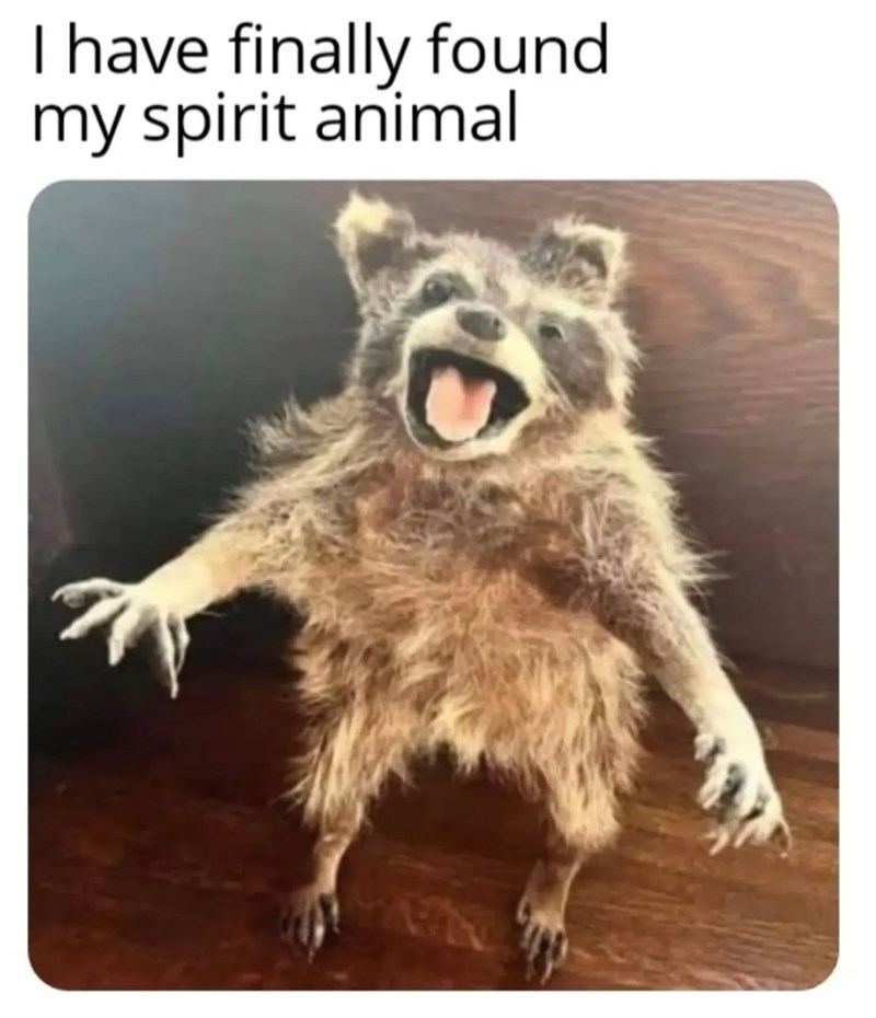 NA I have finally found my spirit animal