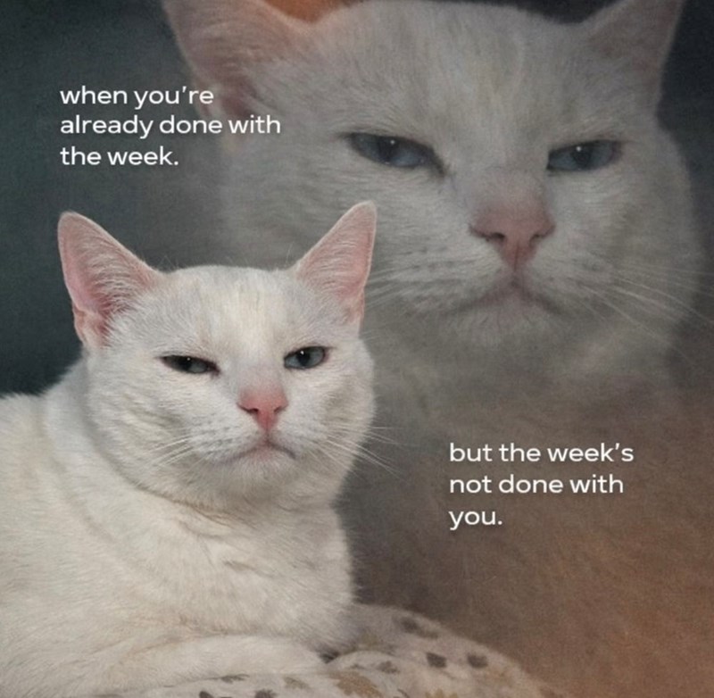 when you're already done with the week. but the week's not done with you.