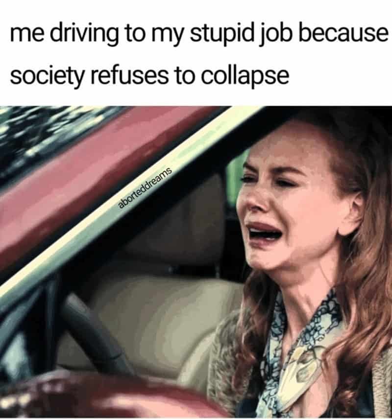 me driving to my stupid job because society refuses to collapse aborteddreams