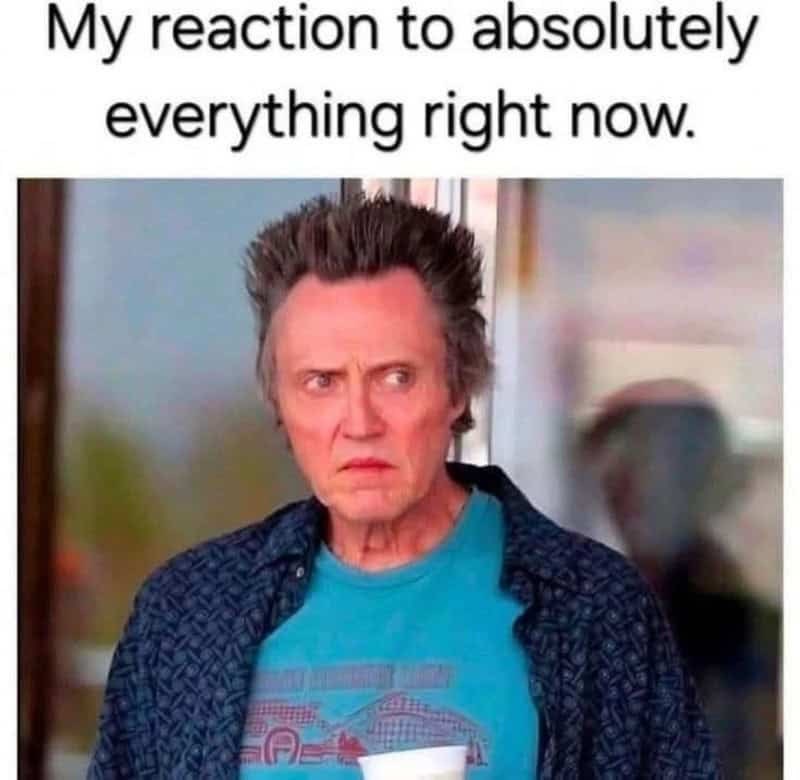 My reaction to absolutely everything right now.