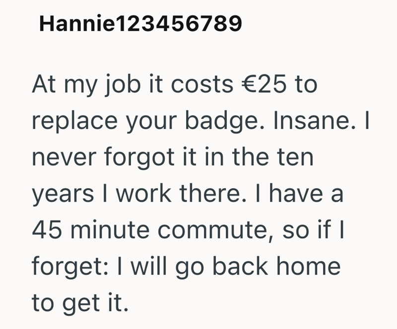 Hannie123456789 At my job it costs €25 to replace your badge. Insane. I never forgot it in the ten years I work there. I have a 45 minute commute, so if I forget: I will go back home to get it.