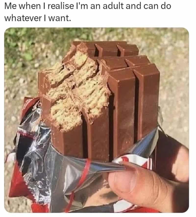 Me when I realise I'm an adult and can do whatever I want.