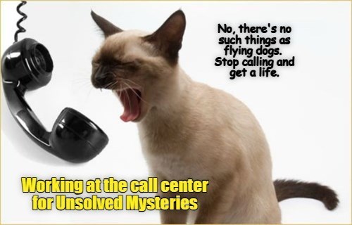 Working at the call center for Unsolved Mysteries No, there's no such things as flying dogs. Stop calling and get a life.