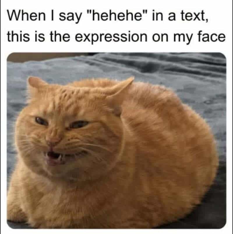 When I say "hehehe" in a text, this is the expression on my face