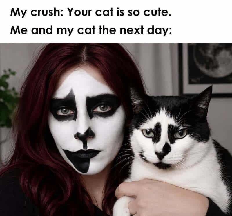 My crush: Your cat is so cute. Me and my cat the next day: