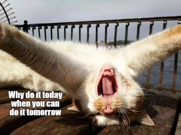 Why do it today when you can do it tomorrow