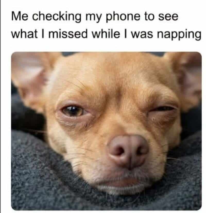 Me checking my phone to see what I missed while I was napping