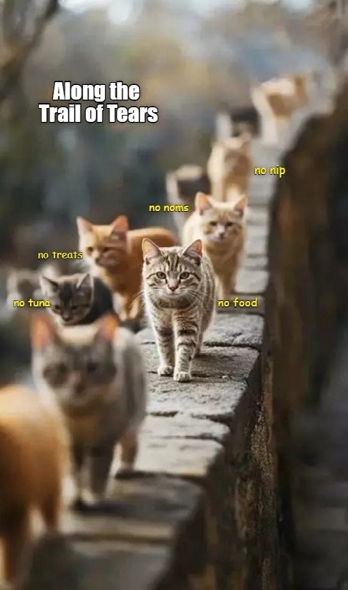 Along the Trail of Tears no treats no tuna no noms no food no nip