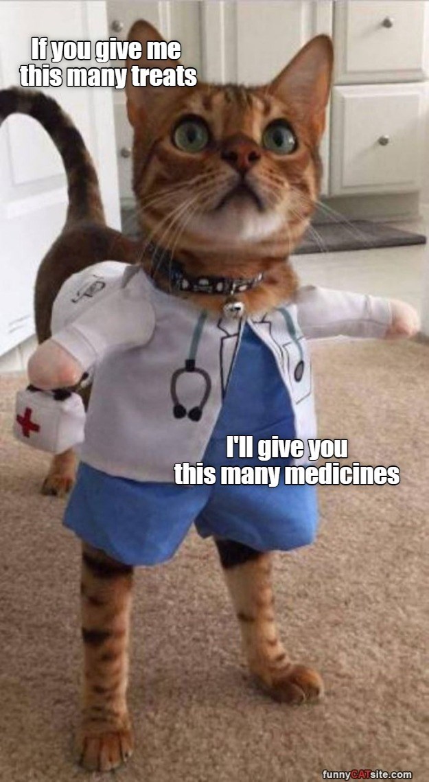 If you give me this many treats I'll give you this many medicines funnyCATsite.com