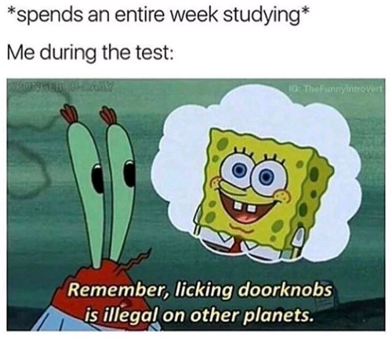 *spends an entire week studying* Me during the test: 10: The Funny Introvert Remember, licking doorknobs is illegal on other planets.