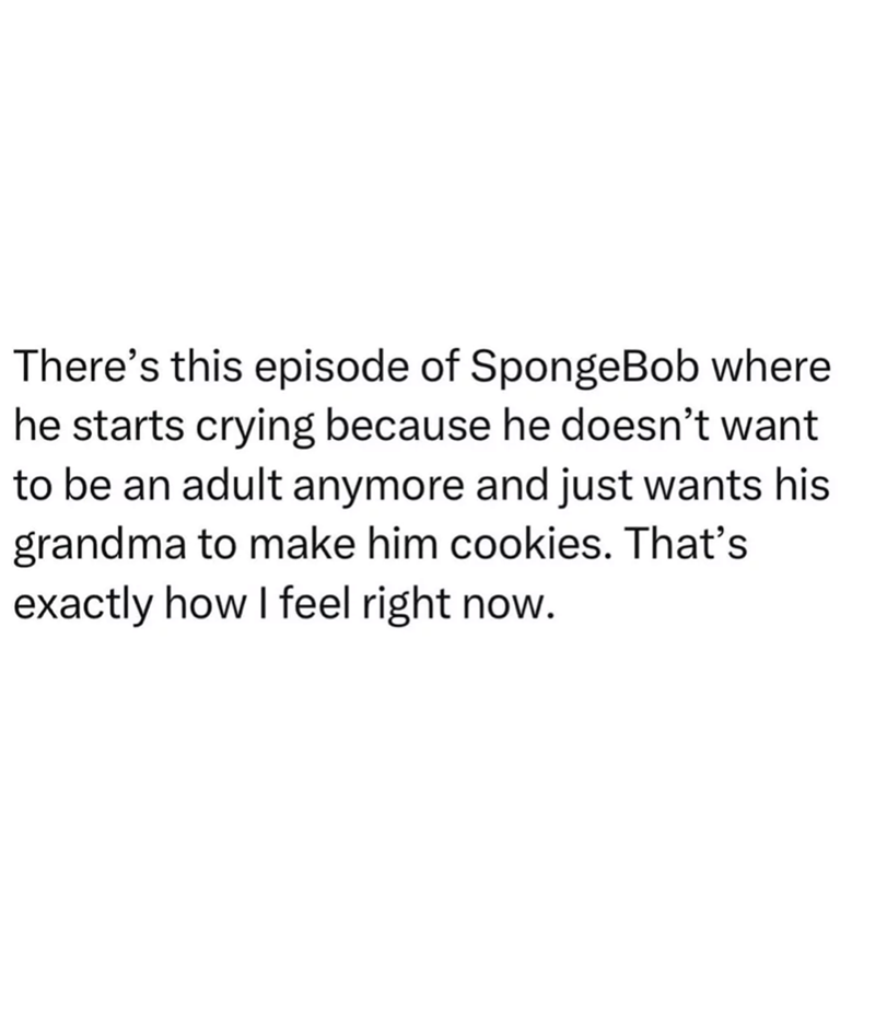 There's this episode of SpongeBob where he starts crying because he doesn't want to be an adult anymore and just wants his grandma to make him cookies. That's exactly how I feel right now.