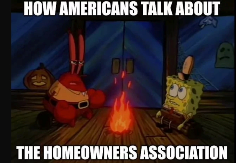 HOW AMERICANS TALK ABOUT 6 THE HOMEOWNERS ASSOCIATION