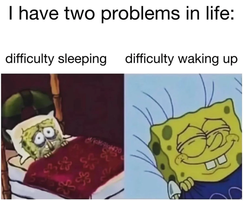 I have two problems in life: difficulty sleeping difficulty waking up 69g420