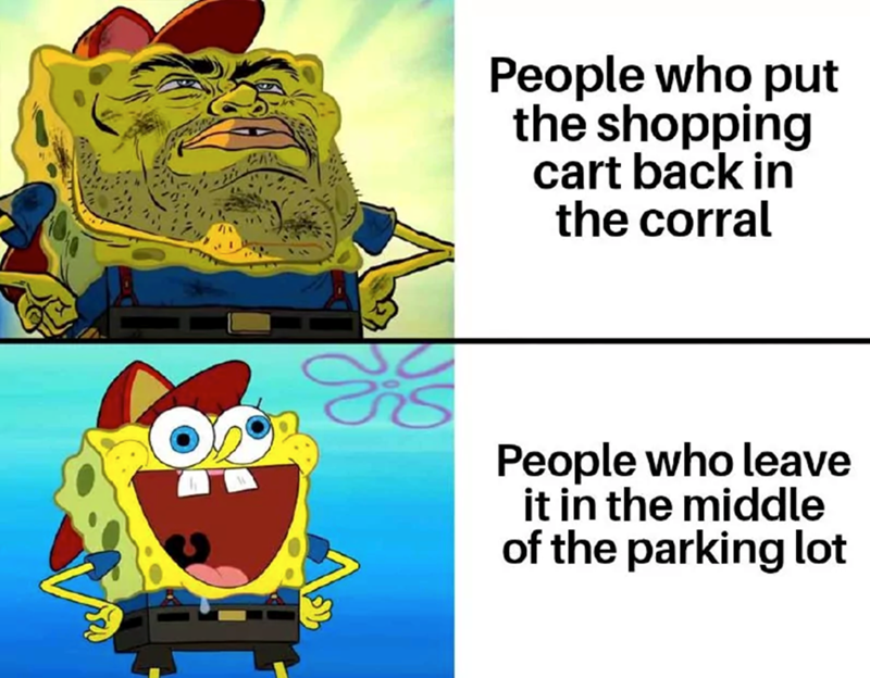 475 People who put the shopping cart back in the corral O2% People who leave it in the middle of the parking lot