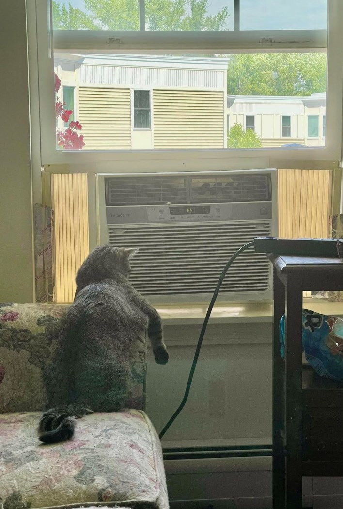1601