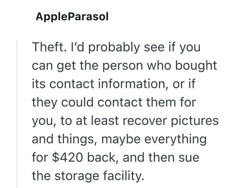 AppleParasol Theft. I'd probably see if you can get the person who bought its contact information, or if they could contact them for you, to at least recover pictures and things, maybe everything for $420 back, and then sue the storage facility.