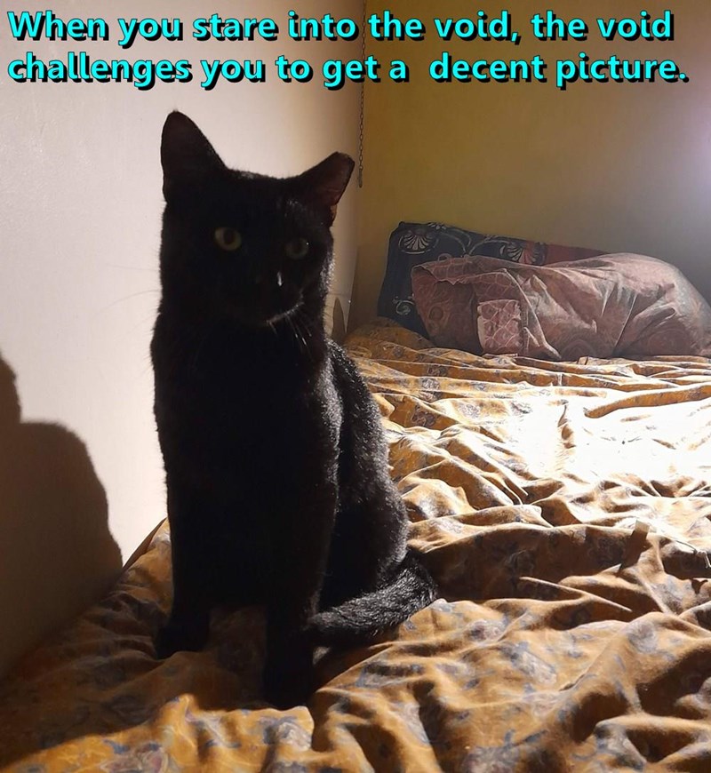 When you stare into the void, the void challenges you to get a decent picture.