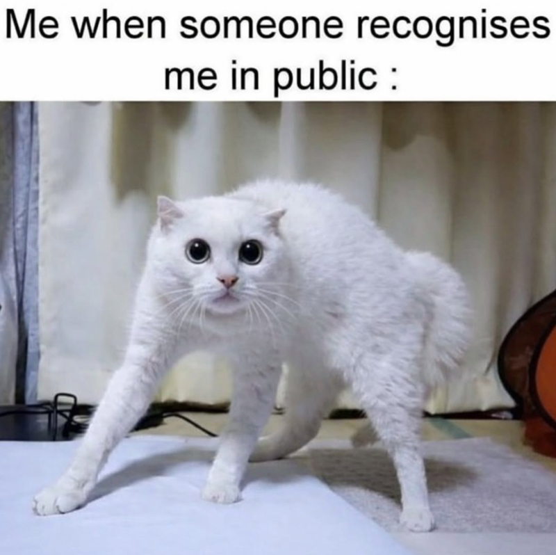 Me when someone recognises me in public: