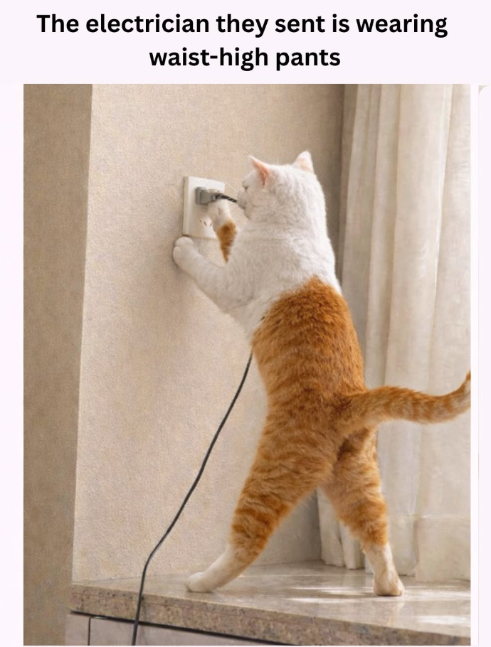 The electrician they sent is wearing waist-high pants