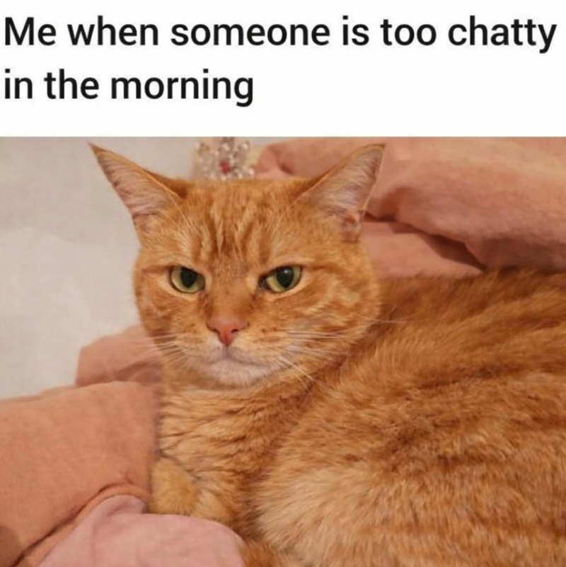 Me when someone is too chatty in the morning