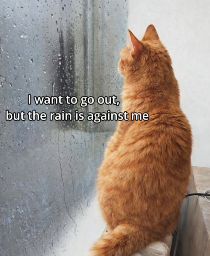 I want to go out, but the rain is against me