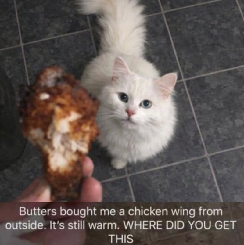Butters bought me a chicken wing from outside. It's still warm. WHERE DID YOU GET THIS