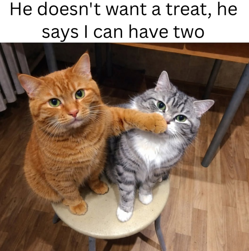 He doesn't want a treat, he says I can have two
