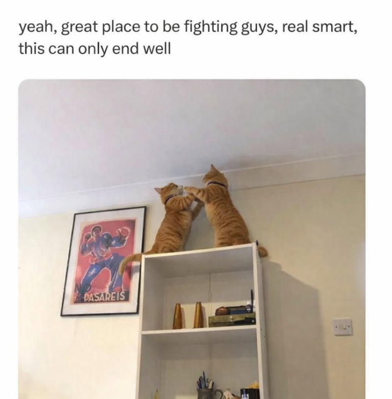 yeah, great place to be fighting guys, real smart, this can only end well N PASAREIS