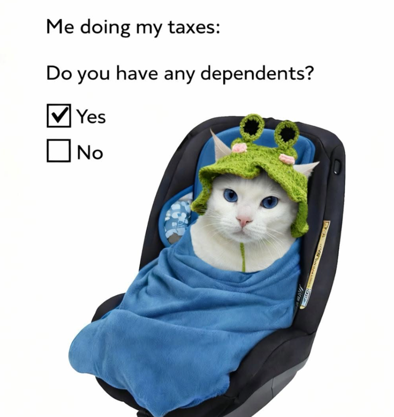 Me doing my taxes: Do you have any dependents? Yes No